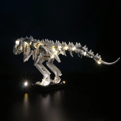 LEGO 21320 Dinosaurier-Fossilien Spiegel-Acryl-Vitrine - Staubdichte Ausstellungsvitrine