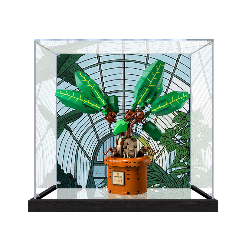 Acrylic Display Case for LEGO 76433 Mandrake, with Themed Printed Background & Dustproof Box