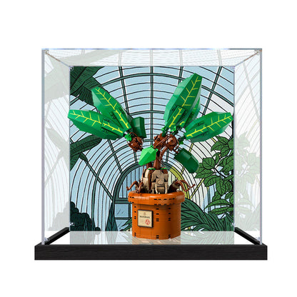 Acrylic Display Case for LEGO 76433 Mandrake, with Themed Printed Background & Dustproof Box