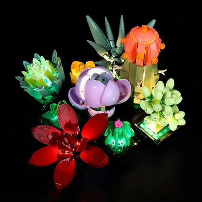 LEGO 10309 Succulents Mirror Acrylic Display Case - Dustproof Showcase