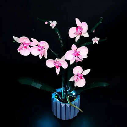 LEGO 10311 Vitrine de Exibição de Acrílico com Espelho para Orquídea, com Luz de Anel e Fundo Impresso em UV - Mostruário à Prova de Poeira