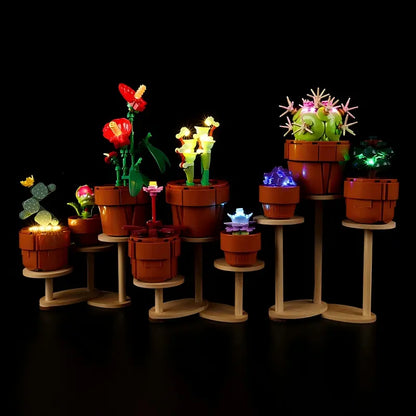 LEGO 10329 Tiny Plants Mirror Acrylic Display Case with Ring Light & UV-Printed Background - Dustproof Showcase