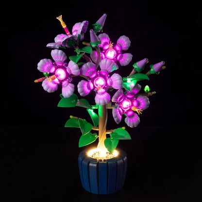 LEGO 10372 Hibiscus Mirror Acrylic Display Case with Ring Light & UV-Printed Background - Dustproof Showcase