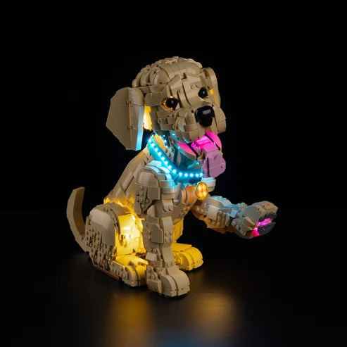 LEGO 11384 Vitrine de Exposição em Acrílico com Espelho para Filhote de Golden Retriever com Anel de Luz e Fundo Impresso em UV - Vitrine à Prova de Poeira