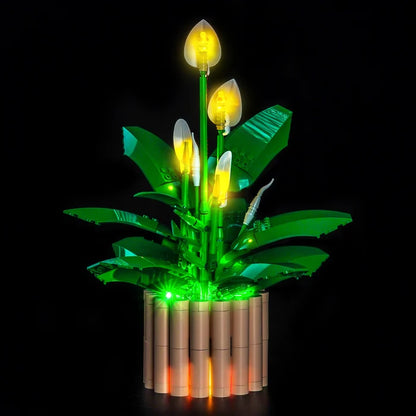 LEGO 11504 Peace Lily Vitrine de Exibição em Acrílico com Espelho, Anel de Luz e Fundo Impresso em UV - Vitrine à Prova de Poeira