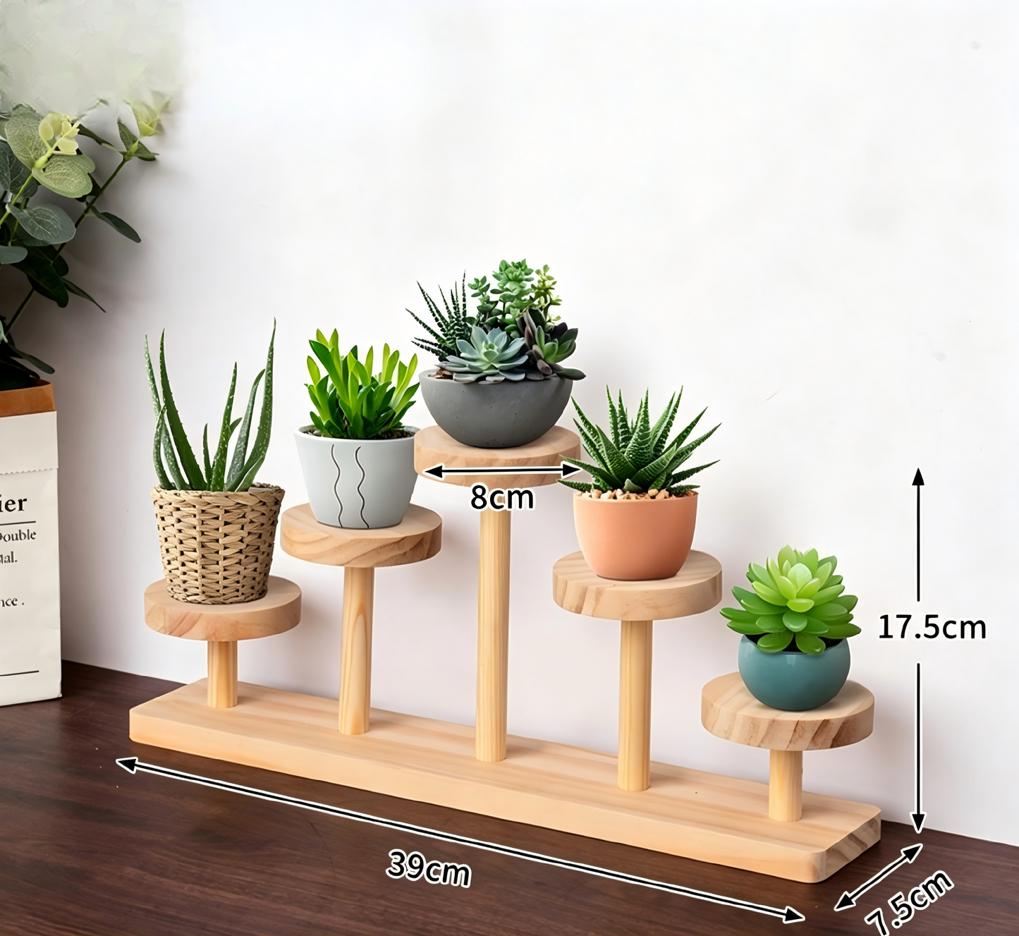 Over 70 styles of personalized display stands—modern solid wood (simple snap-fit DIY assembly) - Scoparius case