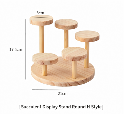 Over 70 styles of personalized display stands—modern solid wood (simple snap-fit DIY assembly) - Scoparius case