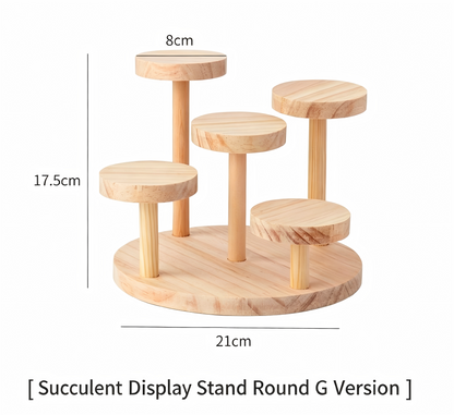 Over 70 styles of personalized display stands—modern solid wood (simple snap-fit DIY assembly) - Scoparius case