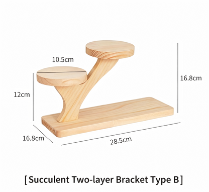 Over 70 styles of personalized display stands—modern solid wood (simple snap-fit DIY assembly) - Scoparius case
