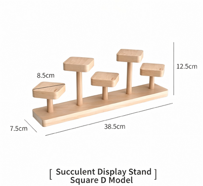 Over 70 styles of personalized display stands—modern solid wood (simple snap-fit DIY assembly) - Scoparius case