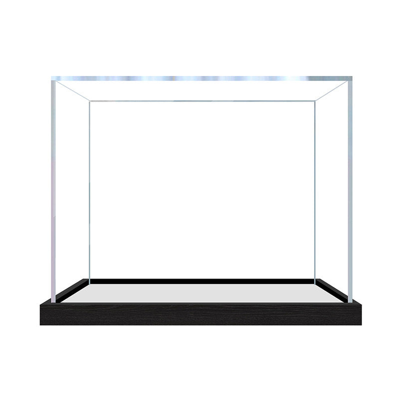 Professional Exhibition Display Case | Seamless Acrylic Cover & Luxury Matte Brushed Black Base