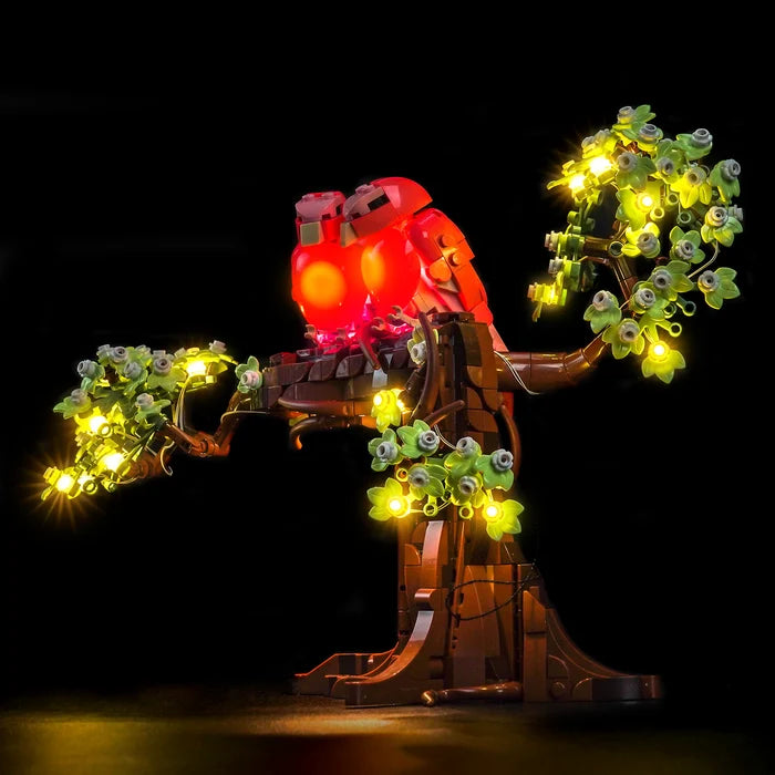 LEGO 21365 Love Birds Spiegel Acryl Vitrine met Ringlicht & UV-Geprinte Achtergrond - Stofdichte Showcase