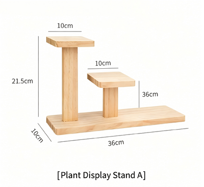 Over 70 styles of personalized display stands—modern solid wood (simple snap-fit DIY assembly) - Scoparius case