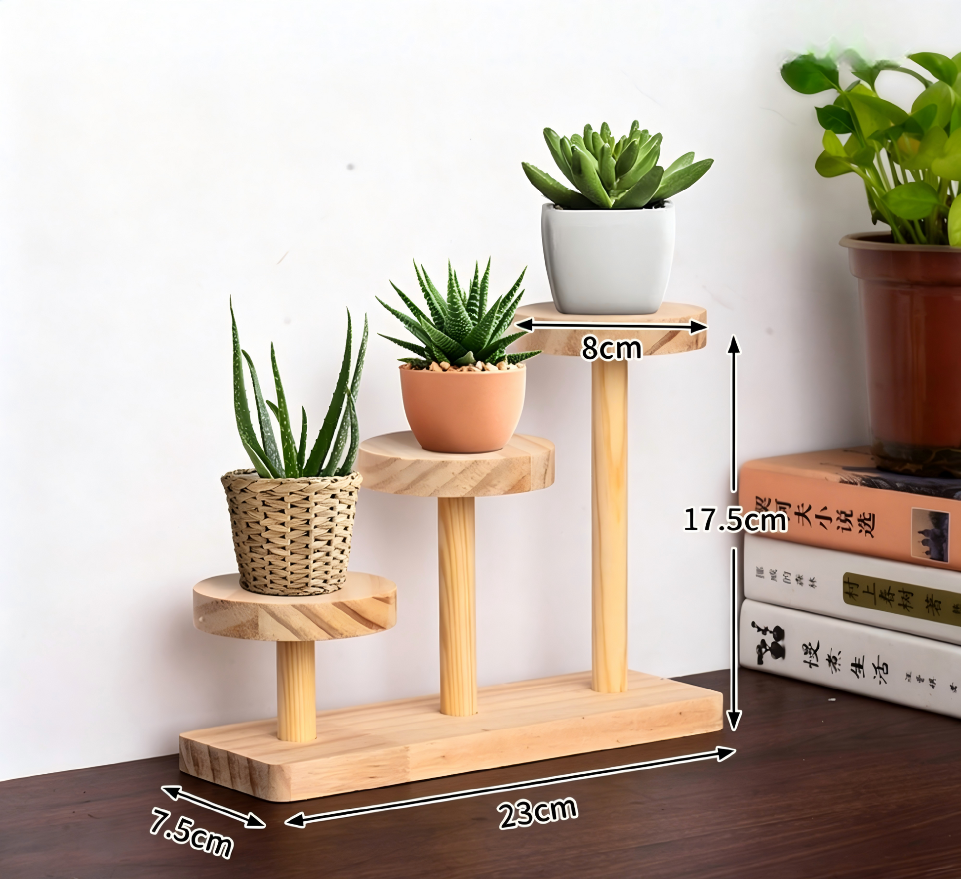 Over 70 styles of personalized display stands—modern solid wood (simple snap-fit DIY assembly) - Scoparius case