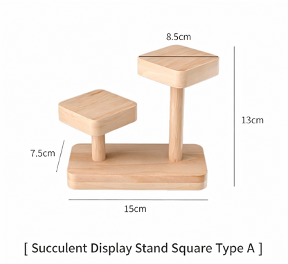 Over 70 styles of personalized display stands—modern solid wood (simple snap-fit DIY assembly) - Scoparius case