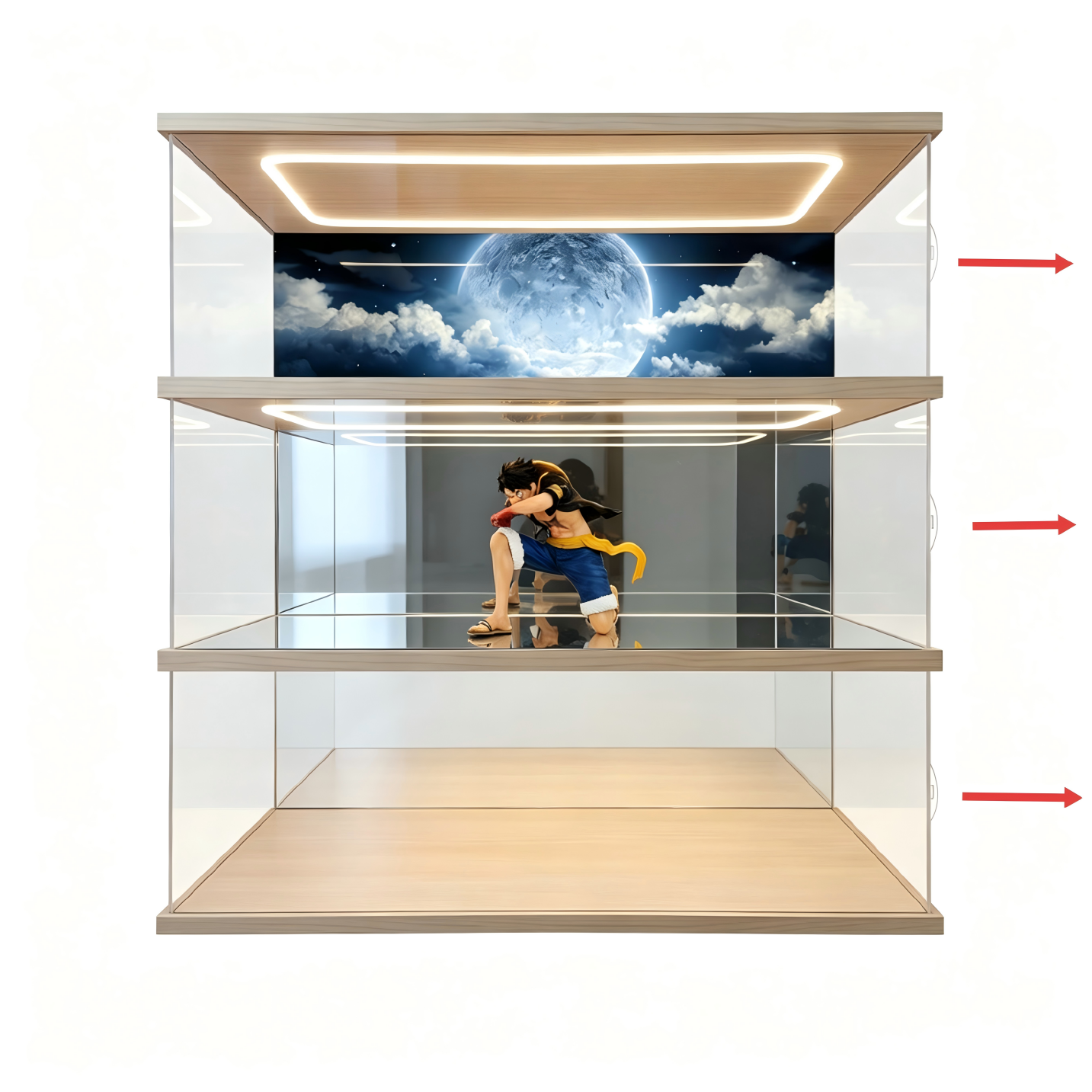 Customizable acrylic display cases—available in a wide range of styles and sizes, with a maximum length of 240 cm (95 in). - Scoparius case