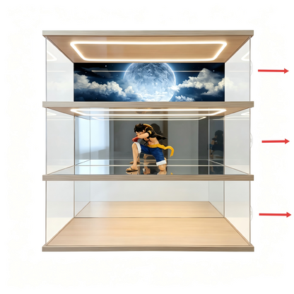 Customizable acrylic display cases—available in a wide range of styles and sizes, with a maximum length of 240 cm (95 in). - Scoparius case