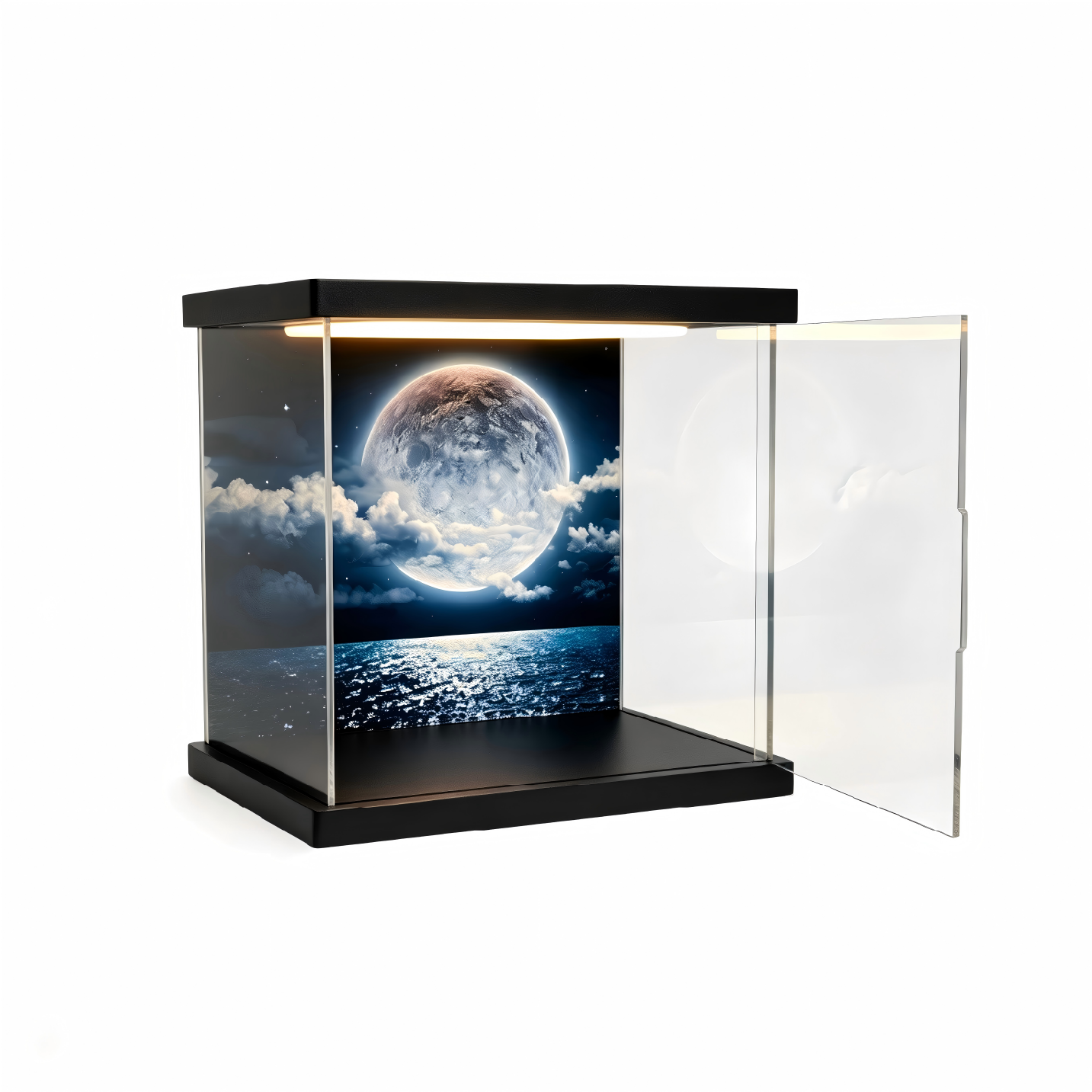 Customizable acrylic display cases—available in a wide range of styles and sizes, with a maximum length of 240 cm (95 in). - Scoparius case
