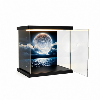Customizable acrylic display cases—available in a wide range of styles and sizes, with a maximum length of 240 cm (95 in). - Scoparius case