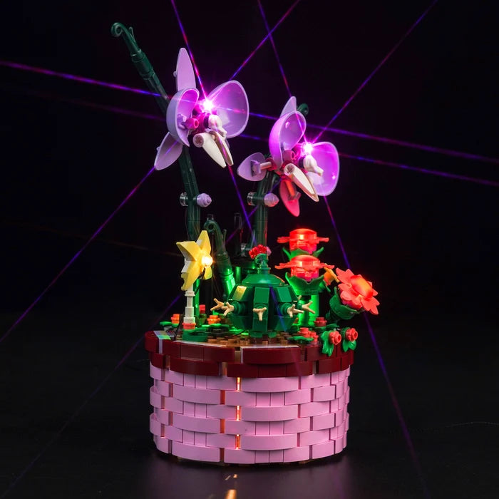 LEGO 43237 イザベラの植木鉢 ミラー アクリル ディスプレイケース リングライト＆UVプリント背景付き - 防塵ショーケース