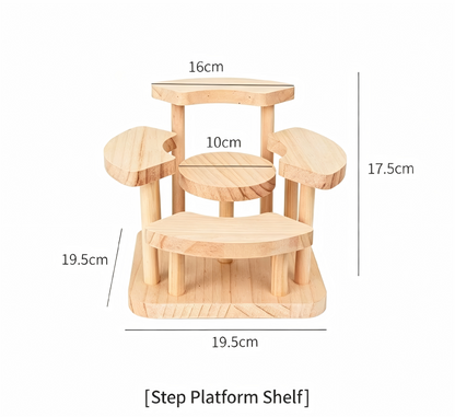 Over 70 styles of personalized display stands—modern solid wood (simple snap-fit DIY assembly) - Scoparius case