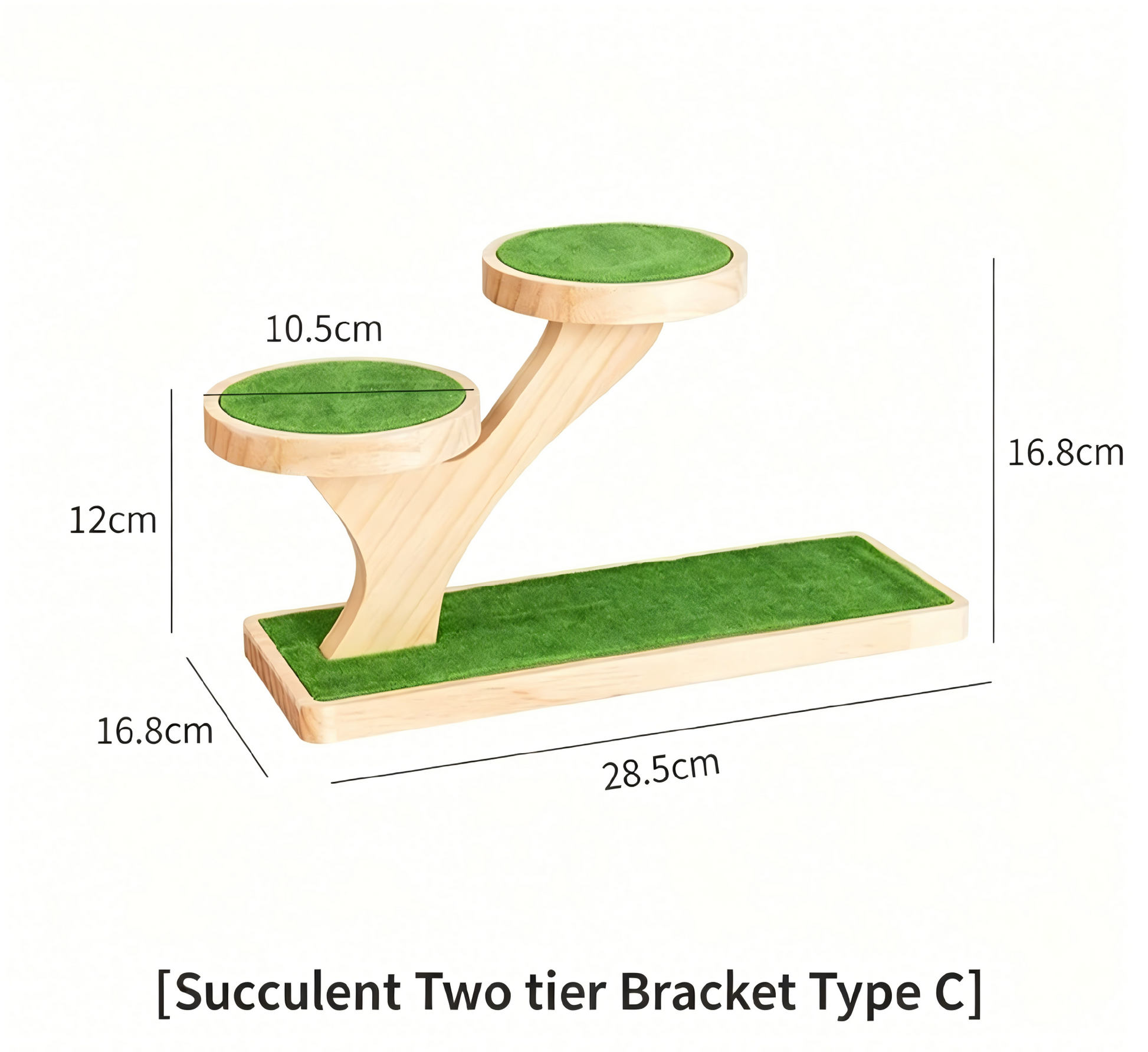 Over 70 styles of personalized display stands—modern solid wood (simple snap-fit DIY assembly) - Scoparius case