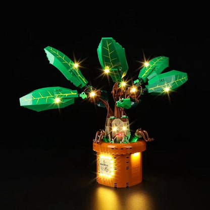 LEGO 76433 Mandrake Mirror Acrylic Display Case with Ring Light & UV-Printed Background - Dustproof Showcase