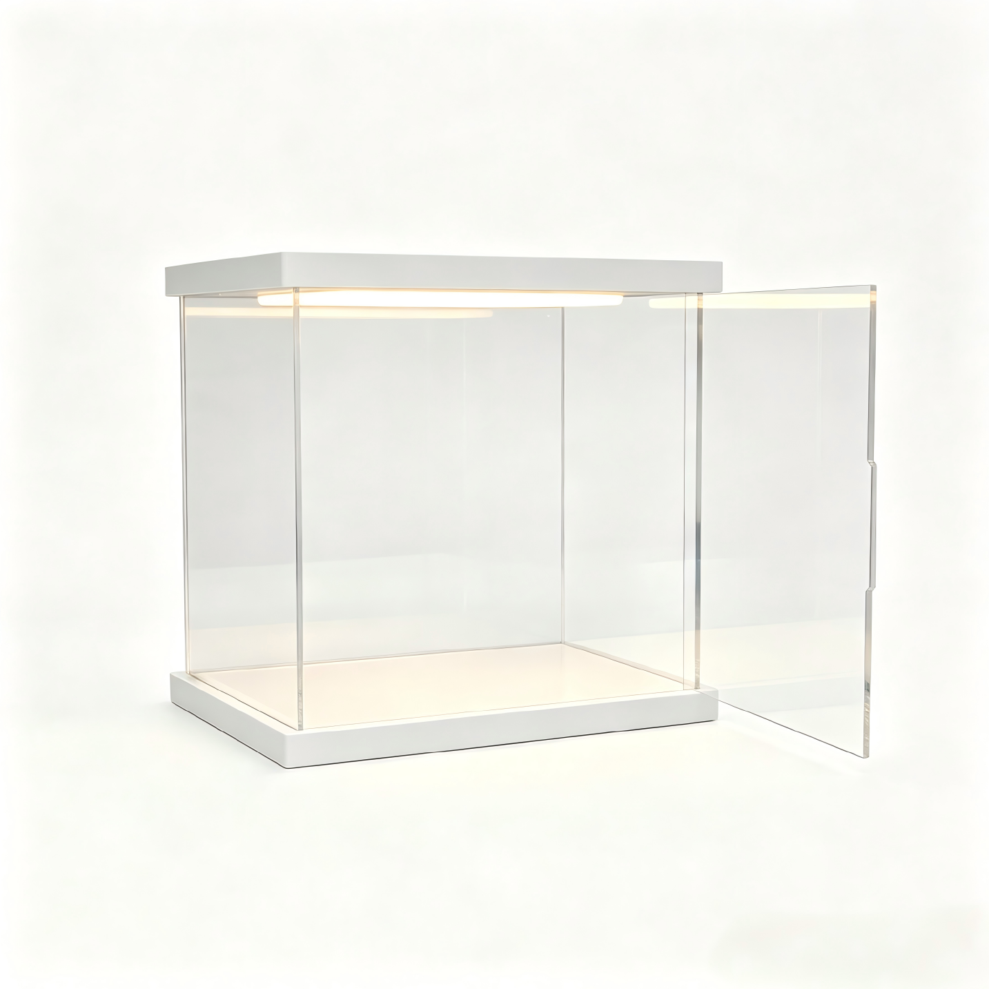 Customizable acrylic display cases—available in a wide range of styles and sizes, with a maximum length of 240 cm (95 in). - Scoparius case