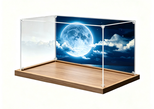 Customizable acrylic display cases—available in a wide range of styles and sizes, with a maximum length of 240 cm (95 in). - Scoparius case
