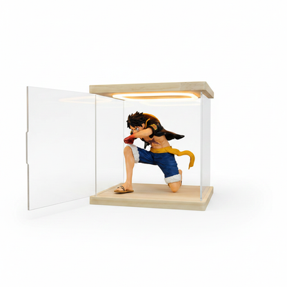 Customizable acrylic display cases—available in a wide range of styles and sizes, with a maximum length of 240 cm (95 in). - Scoparius case