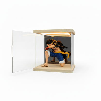 Customizable acrylic display cases—available in a wide range of styles and sizes, with a maximum length of 240 cm (95 in). - Scoparius case