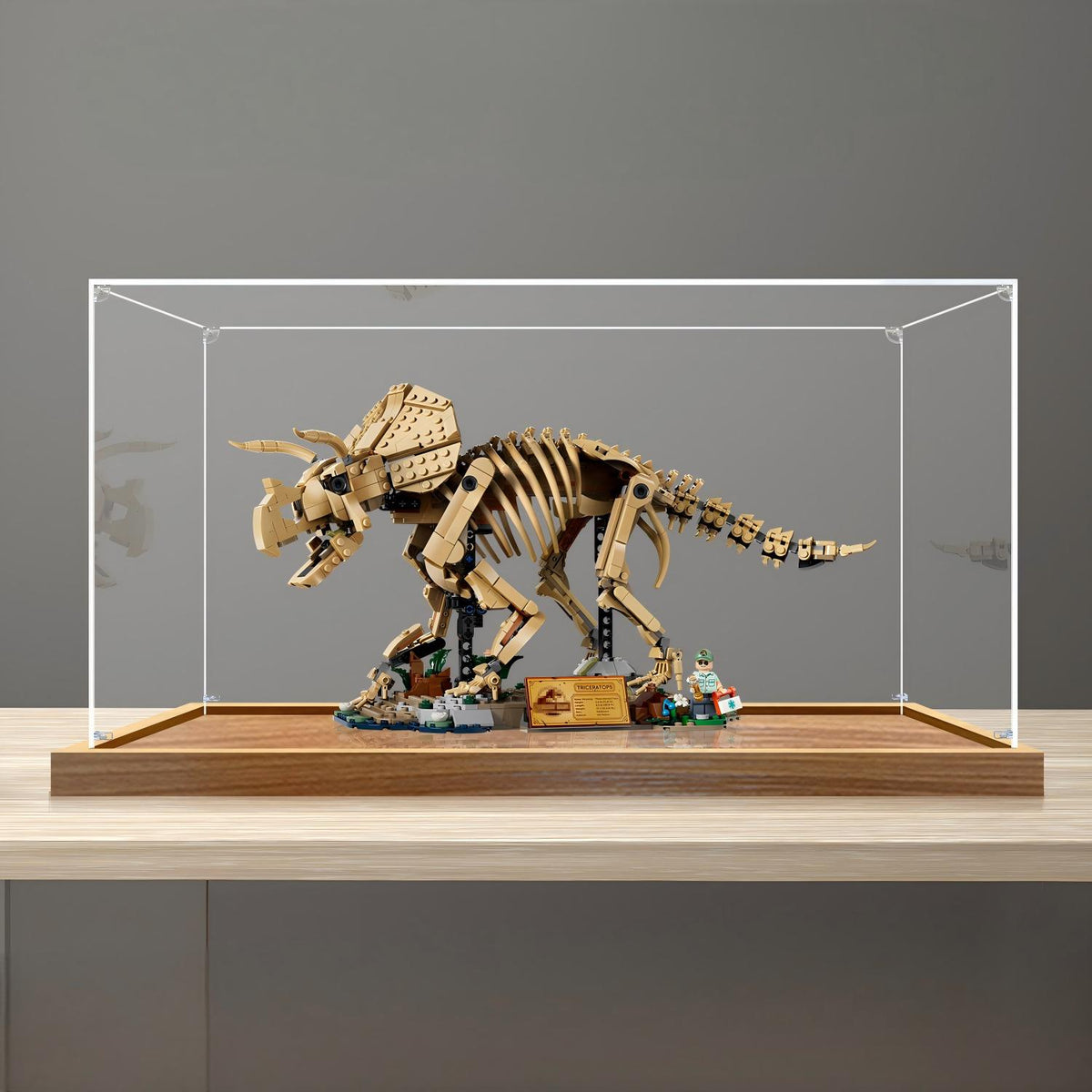 LEGO 77985 Dinosaur Fossils: Triceratops - Vetrina espositiva in acrilico a specchio con anello luminoso e sfondo stampato UV - Espositore antipolvere