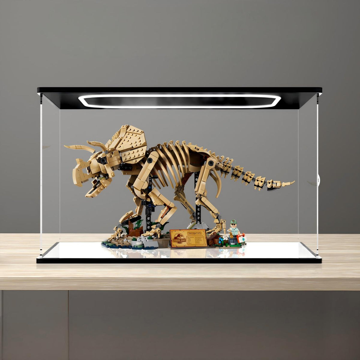 LEGO 77985 Dinosaur Fossils: Triceratops - Vetrina espositiva in acrilico a specchio con anello luminoso e sfondo stampato UV - Espositore antipolvere