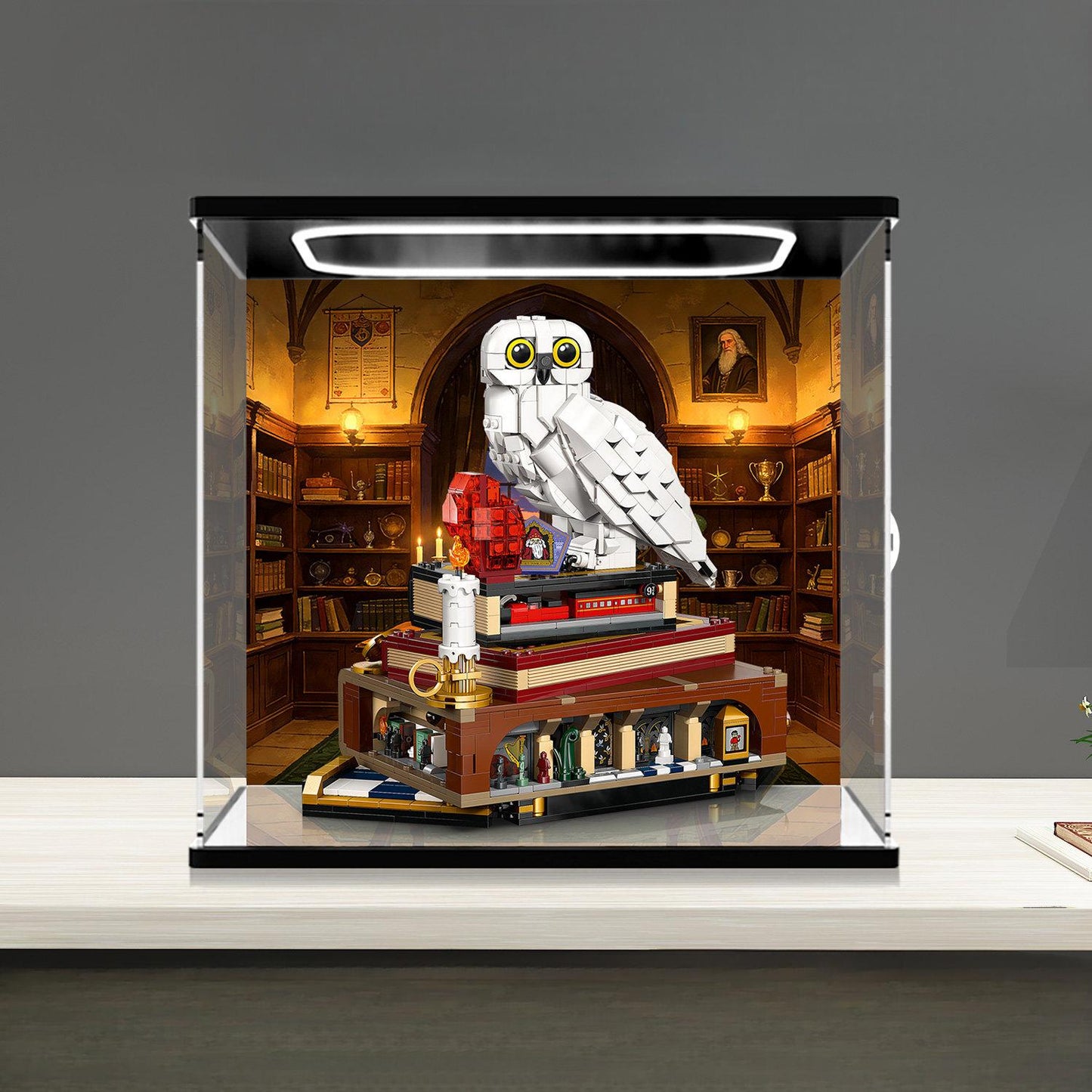 LEGO 76466 Mirror Acrylic Display Case with Ring Light & UV-Printed Background - Dustproof Showcase