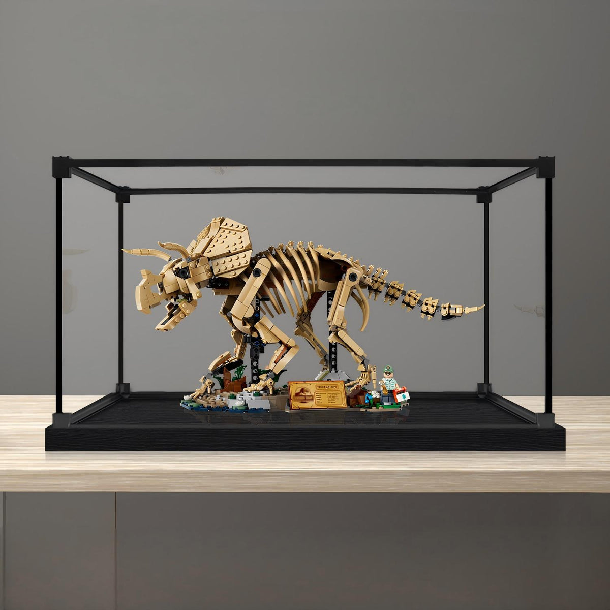 LEGO 77985 Dinosaur Fossils: Triceratops - Vetrina espositiva in acrilico a specchio con anello luminoso e sfondo stampato UV - Espositore antipolvere