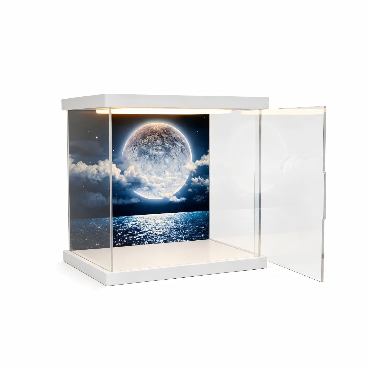 Customizable acrylic display cases—available in a wide range of styles and sizes, with a maximum length of 240 cm (95 in). - Scoparius case