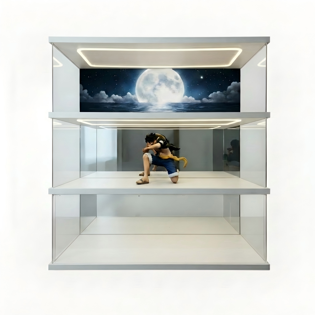 Customizable acrylic display cases—available in a wide range of styles and sizes, with a maximum length of 240 cm (95 in). - Scoparius case