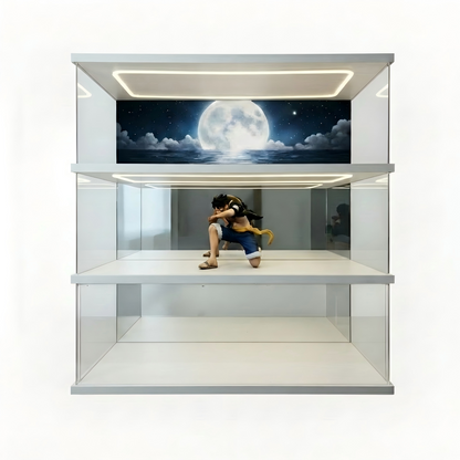 Customizable acrylic display cases—available in a wide range of styles and sizes, with a maximum length of 240 cm (95 in). - Scoparius case