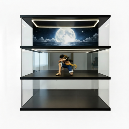 Customizable acrylic display cases—available in a wide range of styles and sizes, with a maximum length of 240 cm (95 in). - Scoparius case